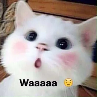🐈 emoji Meow's stickers Telegram sticker 15 of 95