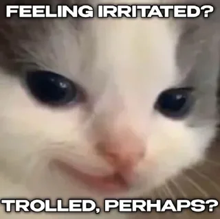 🍄 emoji Hehe kitty cat • @nicololi Telegram sticker 7 of 56