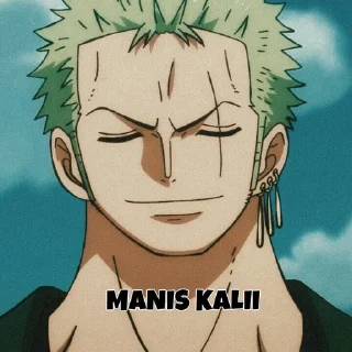 😎 emoji zoro @bagistikerni Telegram sticker 12 of 20