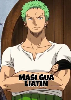 😎 emoji zoro @bagistikerni Telegram sticker 16 of 20