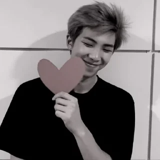 🐨 emoji ✶˚. 김남준  ҂  @Califorinia ᝰ Telegram sticker 12 of 75