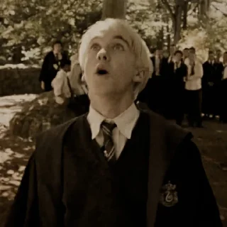 📠 emoji ꜜ ᩠  ꉂ ִֶָ  draco malfoy  ࣪ ͎ @sweetymillsㅤ Telegram sticker 11 of 110