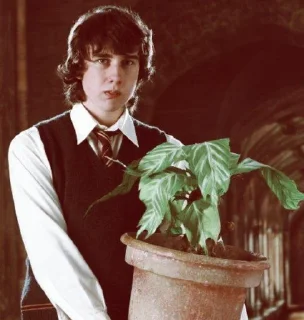 🍂 emoji Neville Longbottom @POTTERHOUSE Telegram sticker 21 of 31