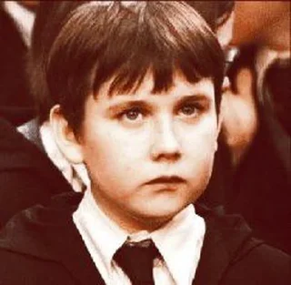🍂 emoji Neville Longbottom @POTTERHOUSE Telegram sticker 5 of 31