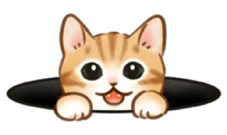 Sticker from cute kitties | @cutestickers4you