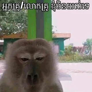 🐵 emoji Tharo memes Telegram sticker 13 of 75
