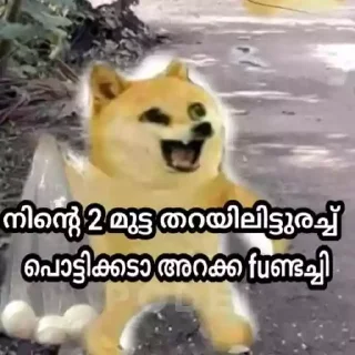 🤬 emoji Doge Memes Kerala Telegram sticker 9 of 75