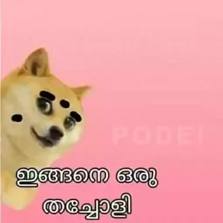 😆 emoji Doge Memes Kerala Telegram sticker 24 of 75