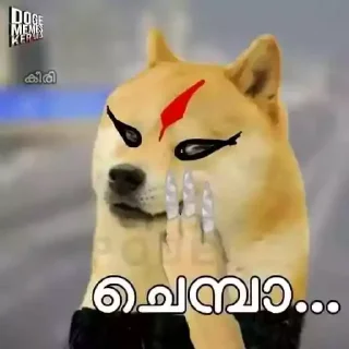 😁 emoji Doge Memes Kerala Telegram sticker 14 of 75