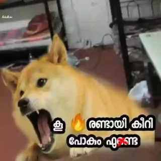 🤬 emoji Doge Memes Kerala Telegram sticker 12 of 75