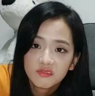 Sticker from JISOO MEME — @STICKERRPHIKESOT