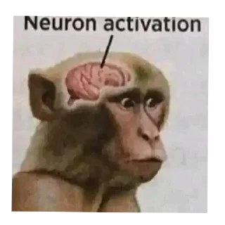 🧠 emoji Sticker Pack @schrwarch (Animated) Telegram sticker 24 of 120