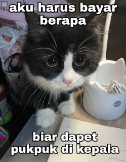 😿 emoji Damn Telegram sticker 11 of 12