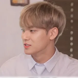 😎 emoji mingyu :: @stickernct Telegram sticker 14 of 60