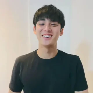 🦈 emoji MINGYU @iGUDANGSTIKER Telegram sticker 9 of 15