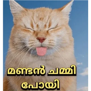 😂 emoji Kitty cute Telegram sticker 15 of 72