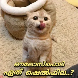 🤔 emoji @Username_illaathavan Vol.1 Telegram sticker 13 of 120