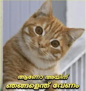 🤭 emoji @Username_illaathavan Vol.1 Telegram sticker 8 of 120