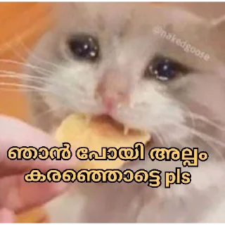 😭 emoji @Username_illaathavan Vol.11 Telegram sticker 14 of 120