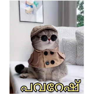 😎 emoji @Username_illaathavan Vol.3 Telegram sticker 19 of 120