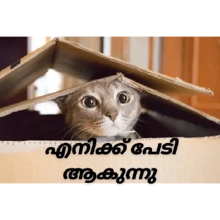 😭 emoji @Username_illaathavan Vol.2 Telegram sticker 5 of 120