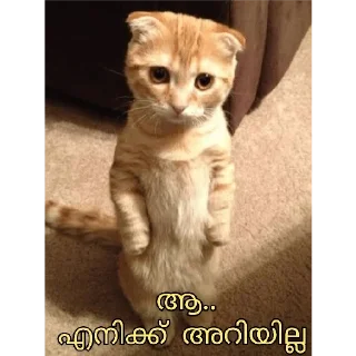 😒 emoji @Username_illaathavan Vol.11 Telegram sticker 9 of 120