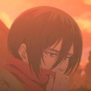 🔖 emoji ✷ ࣪˖ Mikasa ackerman  ִֶָ @yourtikel Telegram sticker 14 of 25