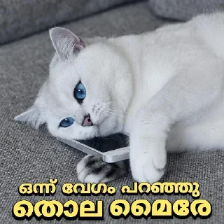 😂 emoji @WARGOD_DK Vol.5 Telegram sticker 23 of 120