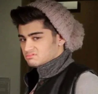 🤨 emoji Zaynie Telegram sticker 15 of 21