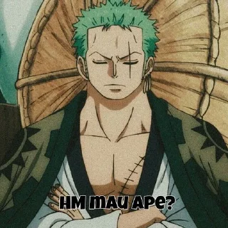 😎 emoji zoro @bagistikerni Telegram sticker 15 of 20
