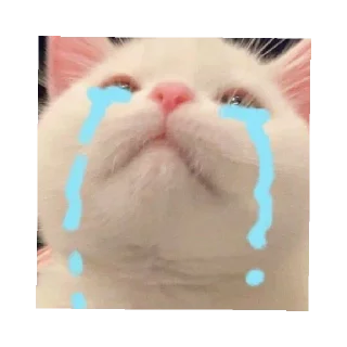 😭 emoji asya asya asyaaa Telegram sticker 11 of 38