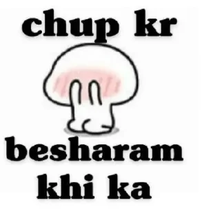 Sticker from @MereChannels Flirt Pack 3 < Don't Kang BSDK >