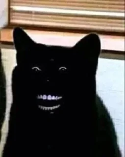 Sticker from Cats and dogs