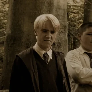 📠 emoji ꜜ ᩠  ꉂ ִֶָ  draco malfoy  ࣪ ͎ @sweetymillsㅤ Telegram sticker 16 of 110