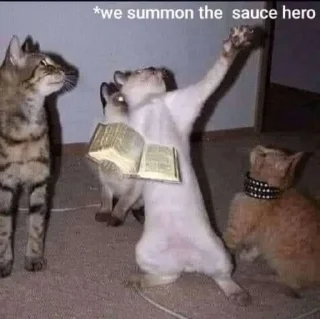 😗 emoji Eren's Freedom Telegram sticker 5 of 104