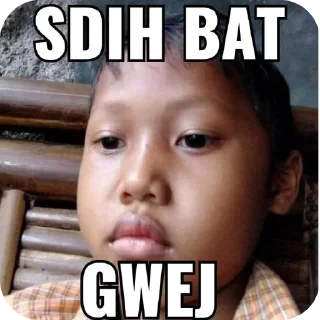 🖼 emoji yg baca monyet Telegram sticker 19 of 27