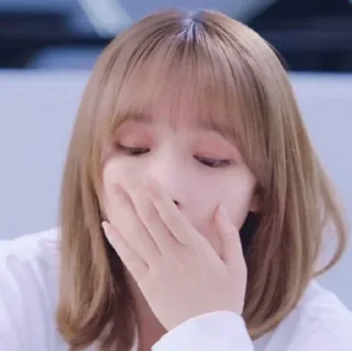 🌸 emoji Cheng xiao ꒰ @stikerchengxiaoo Telegram sticker 8 of 40