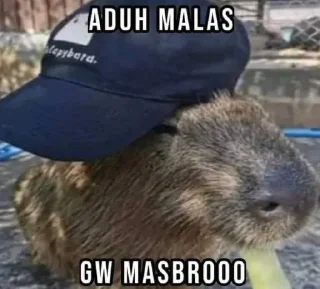 🤓 emoji Aduh masbro by ngaf @cherwi Telegram sticker 22 of 62