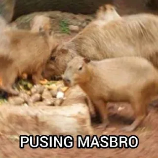 😴 emoji Aduh masbro 2 @cherwi Telegram sticker 22 of 31
