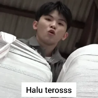 😄 emoji @stickerkipop svt ganteng ganteng segleng Telegram sticker 20 of 50