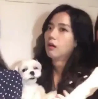 ‼️ emoji JISOO MEME — @STICKERRPHIKESOT Telegram sticker 22 of 25