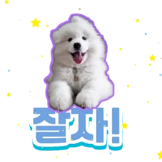 🐕‍🦺 emoji 🐶강아지단🐶 Telegram sticker 8 of 93