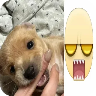 😌 emoji маруся Telegram sticker 4 of 55