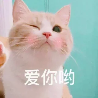 😣 emoji 飞机全网资源万能搜索👉 @zhowensou Telegram sticker 10 of 63