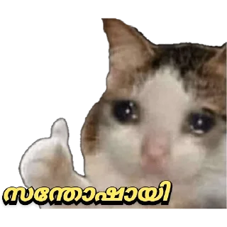 😂 emoji @Angel_Sweetie_Pie1 Vol.4 Telegram sticker 14 of 110