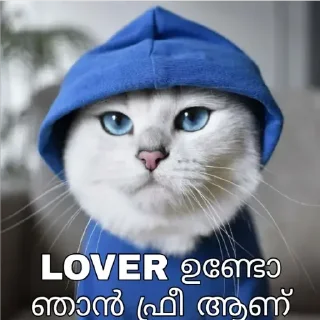 ☺️ emoji @Username_illaathavan Vol.11 Telegram sticker 16 of 120