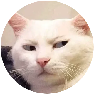 😒 emoji Kocheng Drama by @celup Telegram sticker 6 of 20