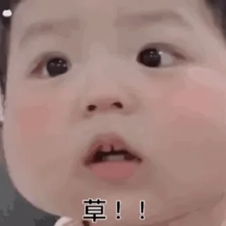 😌 emoji 狗推素材大全点击进入👉 @sucaiyo Telegram sticker 16 of 50