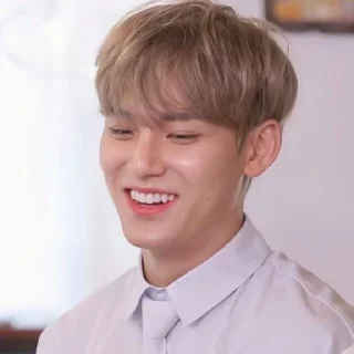 😎 emoji mingyu :: @stickernct Telegram sticker 15 of 60