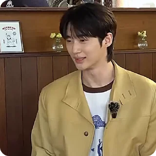 🌟 emoji Byeon Woo-Seok :: @gifceline Telegram sticker 6 of 27